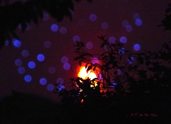 Dans la nuit du 14 juillet